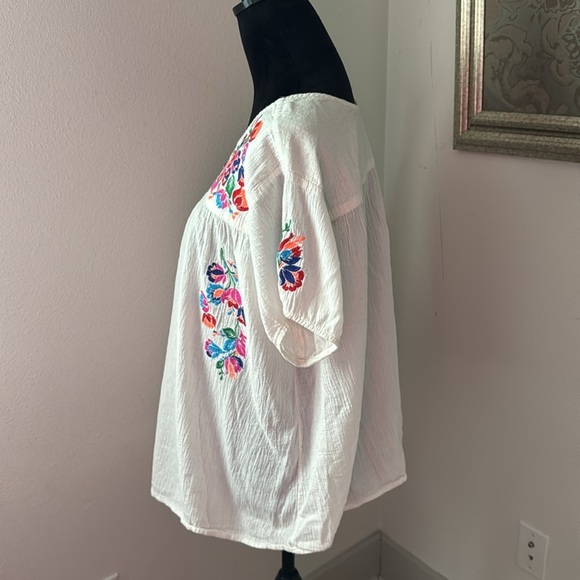See and Be Seen On the Border embroidered cotton top Sz L - Picture 4 of 8